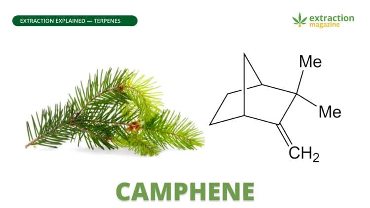 Camphene