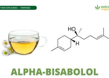 Alpha-bisabolol