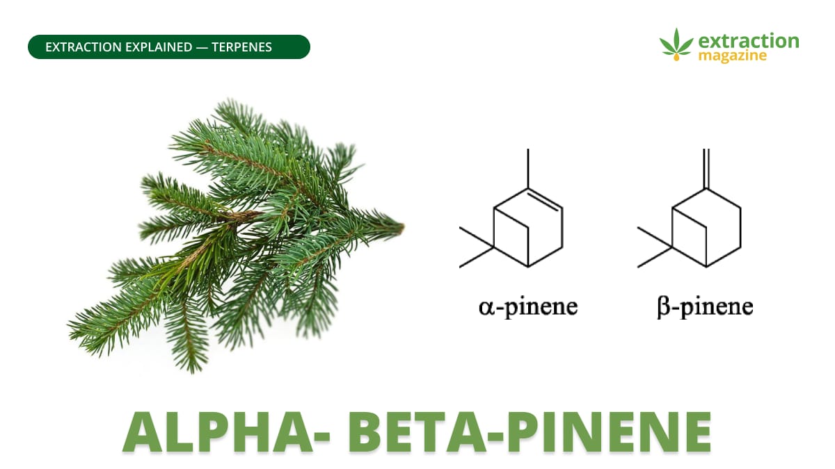 Alpha- Beta-pinene