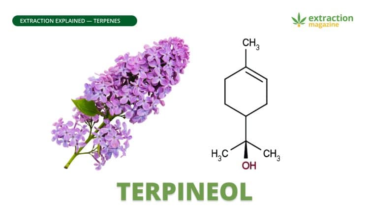 Terpineol