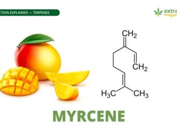 Myrcene