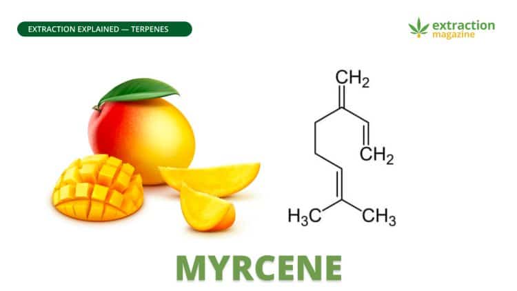 Myrcene