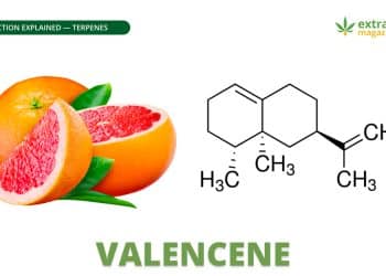 Valencene