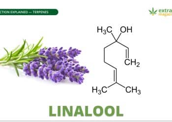 Linalool