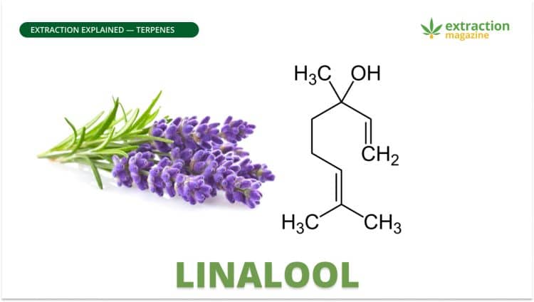 Linalool
