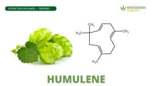 Humulene