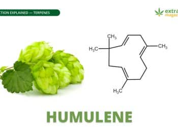 Humulene