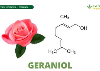 Geraniol