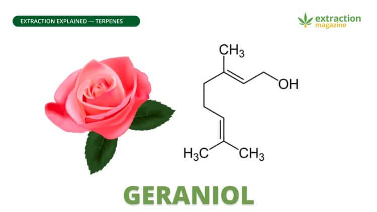 Geraniol