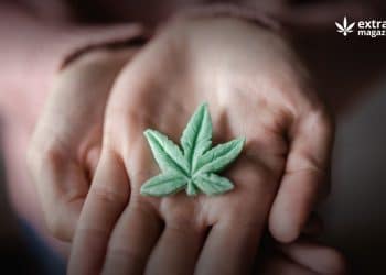 The Approaching Deadline For Canada’s Extraction And Edible Industry