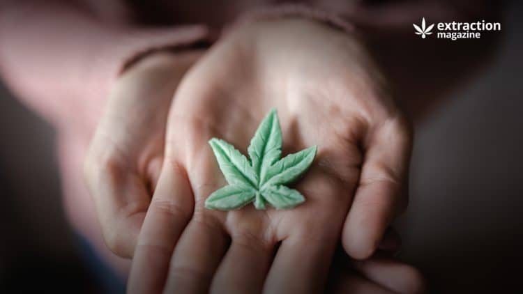 The Approaching Deadline For Canada’s Extraction And Edible Industry