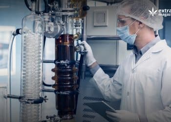 The Differences Between Simple And Fractional Distillation