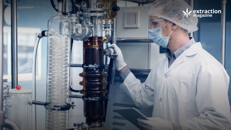 The Differences Between Simple And Fractional Distillation