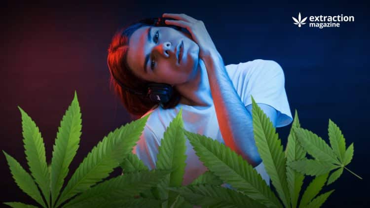 What Are The Adverse Effects of Cannabis Use?