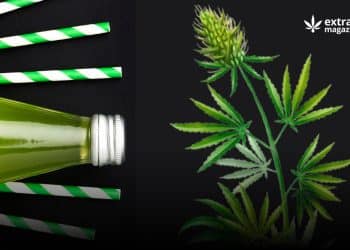 Will Hemp Save The World From Plastic?