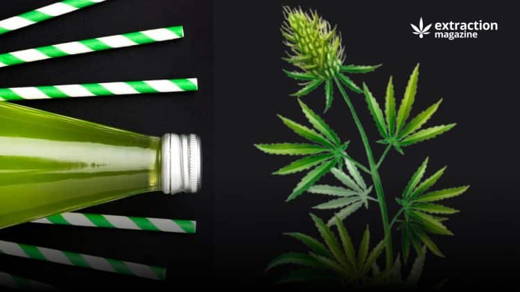 Will Hemp Save The World From Plastic?