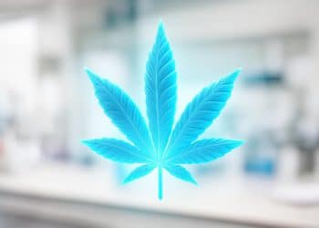 Transparent cannabis leave, sci-fi, futuristic-looking, in a lab setting.
