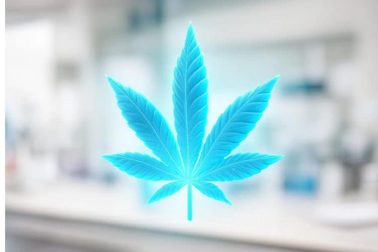 Transparent cannabis leave, sci-fi, futuristic-looking, in a lab setting.