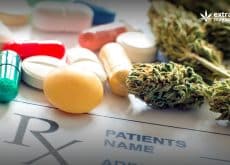 Can Cannabinoids Interact With Other Drugs?