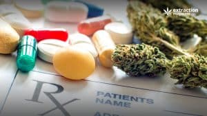 Medications and cannabis on a prescription document. Can Cannabinoids Interact With Other Drugs?