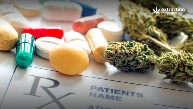 Can Cannabinoids Interact With Other Drugs?