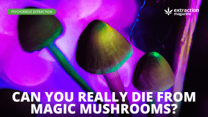 Can You Really Die From Magic Mushrooms