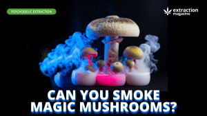 Magic mushrooms in a blue smoke