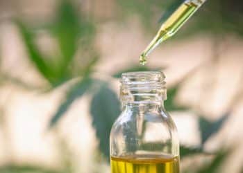 Modern CBD extraction equipment in a commercial cannabis processing facility