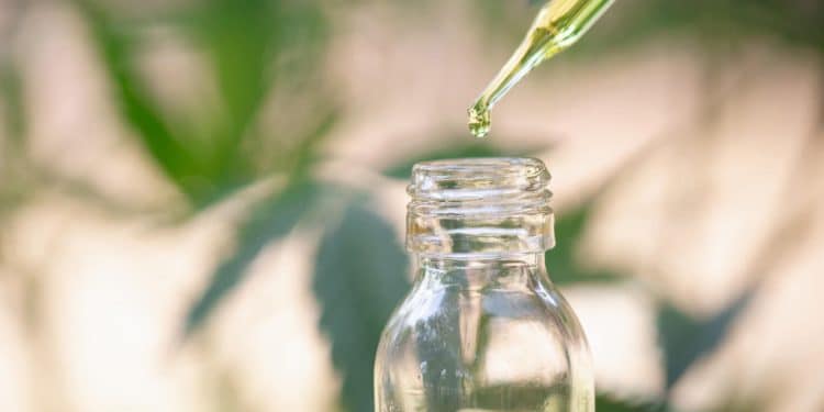 Modern CBD extraction equipment in a commercial cannabis processing facility