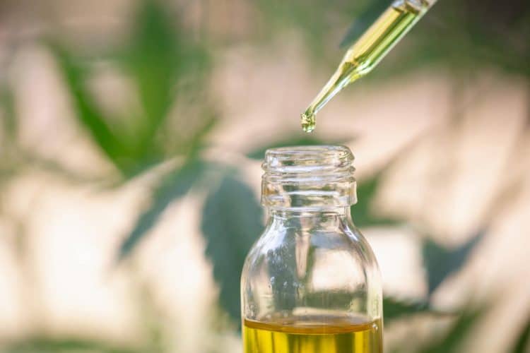 Modern CBD extraction equipment in a commercial cannabis processing facility