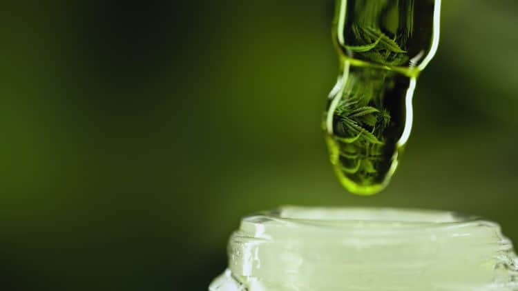 Everything You Need To Know About THCV