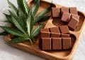 Chocolate, Cannabis, And The Human Brain