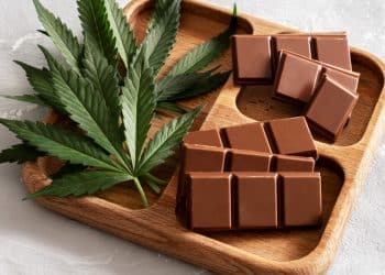 Chocolate, Cannabis, And The Human Brain