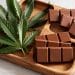 Chocolate, Cannabis, And The Human Brain