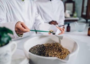 Preparations of Herbal Drugs