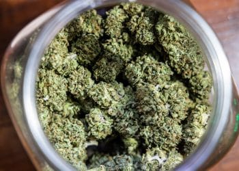 Everything You Need To Know About CBN