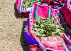 Coca leaves resting on colorful traditional fabric on Island of the Sun on the Bolivian side of Lake Titicaca