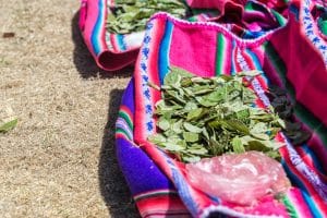 Coca leaves resting on colorful traditional fabric on Island of the Sun on the Bolivian side of Lake Titicaca