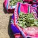 Coca leaves resting on colorful traditional fabric on Island of the Sun on the Bolivian side of Lake Titicaca