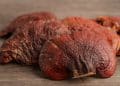 Reishi Fungus