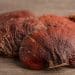 Reishi Fungus