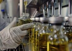 Advanced extraction equipment powering the $8.4 billion global market transformation across cannabis, pharma, and chemical industries