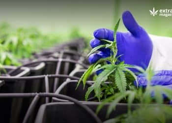 Farm Bill Anniversary: December 20, 2019