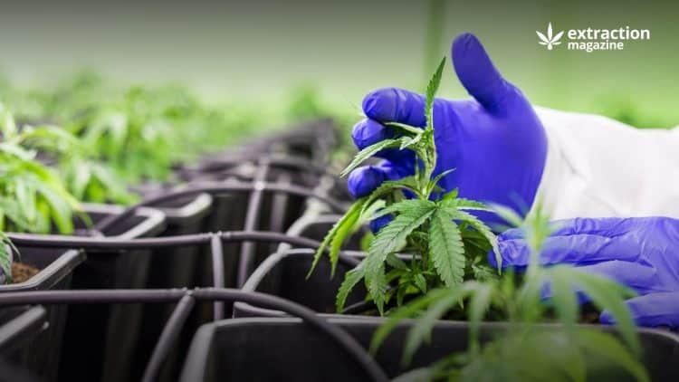 Farm Bill Anniversary: December 20, 2019