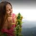 First Female-Focused Cannabis Product Developed in Maryland to Hit Shelves in October