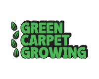 Green Carpet Growing logo on a transparent background, PNG