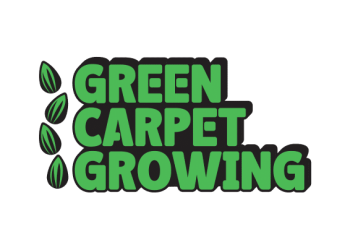 Green Carpet Growing logo on a transparent background, PNG