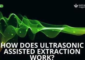 How Does Ultrasonic Assisted Extraction Work?