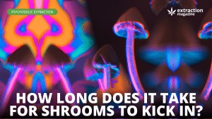 How Long Does it Take For Shrooms to Kick In?