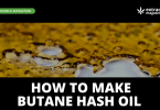 How to make Butane hash oil?